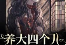 养大四个儿，八个孙，凄惨离世后（主角黄晚晴宋长武）完结版免费阅读-逐鹿文学