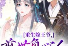 重生嫁王爷，前世负心人竟是我？（沈挽谢景御）最新章节在线阅读-逐鹿文学