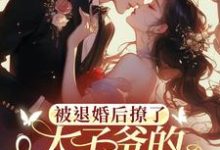 被退婚后撩了太子爷的检察官小叔在线看，陆砚昇乔曦小说大结局在哪免费看-逐鹿文学