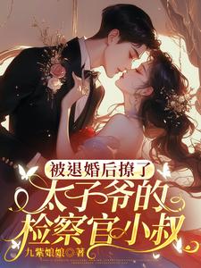 被退婚后撩了太子爷的检察官小叔（陆砚昇乔曦）完结版免费阅读