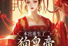 主人公是张承佑周明婉的小说本宫重生了，狗皇帝你等着瞧！免费阅读-逐鹿文学