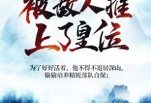 被追杀的我，被敌人推上了皇位（主角夏天司马兰）完结版免费阅读-逐鹿文学
