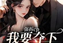 强拆cp，我要夺下这总裁热门小说(商扶砚符诱安)在线阅读无弹窗-逐鹿文学