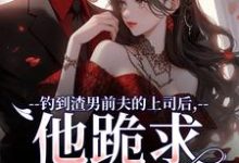 苏锦萧云锋最新章节钓到渣男前夫的上司后，他跪求放过免费阅读-逐鹿文学