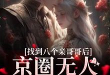 小说找到八个亲哥哥后，京圈无人敢惹她主角叶小汐叶以辰免费阅读-逐鹿文学