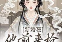 新婚夜,他前来抢夺我的心无弹窗温棠谢云州最新章节列表-逐鹿文学