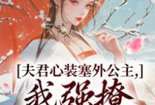 夫君心装塞外公主，我强撩也能到手免费阅读，叶锦意萧凛渊大结局无弹窗-逐鹿文学