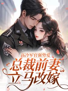 高冷军官强势爱，总裁前妻立马改嫁（主角杨念念陆文彬）完结版免费阅读