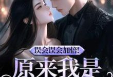 误会误会加倍！原来我是他的挚爱精彩章节在线免费阅读（宁穗季晏辞）-逐鹿文学