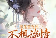 黑莲花驾到，不想谈情只想晋升（主角宁司寒林妩）完结版免费阅读-逐鹿文学
