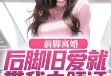 陆沉苏婉清小说的结局在哪可以看，前脚离婚，后脚旧爱就带我去领证免费阅读完结版-逐鹿文学