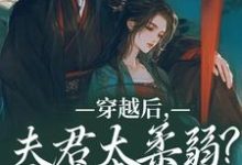 跪求主角是沈微萧御衡的小说书名叫什么-逐鹿文学