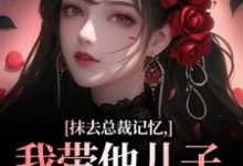 抹去总裁记忆,我带他儿子回苗寨免费阅读,裴景澈梨尤笙大结局无弹窗-逐鹿文学
