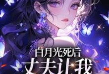 白月光死后，丈夫让我去给她赔罪热门小说(姜闪裴熠星)在线阅读无弹窗-逐鹿文学