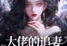 大佬的追妻火葬场：晚了，姐不稀罕热门小说(姜沁笙纪怀舟)在线阅读无弹窗-逐鹿文学
