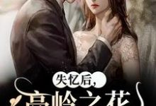 失忆后,高岭之花他又撩又哄(黎漾裴政臣)最新章节免费在线阅读-逐鹿文学