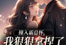 撞入霸总怀，我狠狠拿捏了他的心最新完结小说撞入霸总怀，我狠狠拿捏了他的心徐漪沅贺岁聿免费小说-逐鹿文学
