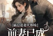 霸总追妻火葬场:前妻已成人间富贵花推荐完结小说霸总追妻火葬场:前妻已成人间富贵花(秦桑傅霆深)免费小说全本-逐鹿文学