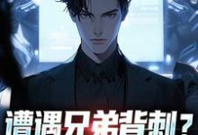 秦东骆小蝶遭遇兄弟背刺？我直接去偷家全本免费在线阅读-逐鹿文学