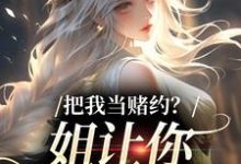 把我当赌约？姐让你跪地求饶贺南序周初黎热门小说排行榜把我当赌约？姐让你跪地求饶免费小说-逐鹿文学