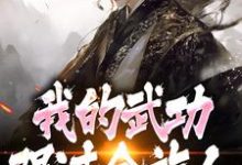 (全文)完了！我的武功强过全族人（林枫苏清雪）试读更新章节完了！我的武功强过全族人免费小说-逐鹿文学