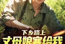 (全文)下乡路上,丈母娘塞给我一车嫁妆热门小说排行榜,下乡路上,丈母娘塞给我一车嫁妆林辰宋雨全章小说阅读-逐鹿文学