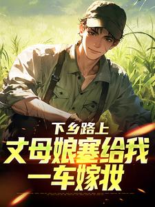(全文)下乡路上，丈母娘塞给我一车嫁妆热门小说排行榜，下乡路上，丈母娘塞给我一车嫁妆林辰宋雨全章小说阅读