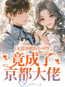 无意间救的小可怜，竟成了京都大佬推荐完结小说，无意间救的小可怜，竟成了京都大佬晏离权时泽免费小说全本