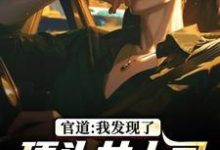 官道：我发现了顶头女上司的秘密完整版小说官道：我发现了顶头女上司的秘密(徐青胡丽娜)全章小说阅读-逐鹿文学
