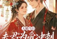 大婚当日，夫君为爱冲刺救白月光最新章节阅读大婚当日，夫君为爱冲刺救白月光(林菀堂萧睿川)试读更新章节-逐鹿文学
