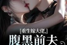 重生嫁大佬,腹黑前夫追妻火葬场(林疏桐贺霆屿)小说推荐重生嫁大佬,腹黑前夫追妻火葬场全章小说阅读-逐鹿文学