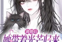 离婚后她带着光芒归来，总裁悔断肠江念慕南辞最新完结小说，离婚后她带着光芒归来，总裁悔断肠全本免费在线阅读-逐鹿文学