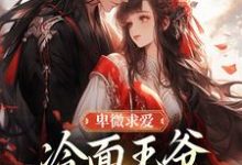 卑微求爱：冷面王爷只为她轻哄（苏如卿赫连渊）全章小说阅读-逐鹿文学