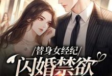 (全文)替身女经纪，闪婚禁欲大佬虐渣男(黎湘霍斯然)全本免费在线阅读-逐鹿文学