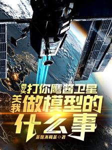 (全文)老头打你鹰酱卫星，关我做模型的什么事秦阳全本免费在线阅读