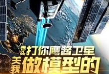 (全文)老头打你鹰酱卫星，关我做模型的什么事热门小说排行榜，老头打你鹰酱卫星，关我做模型的什么事秦阳全章小说阅读-逐鹿文学