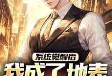 系统觉醒后，我成了地表最强龙傲天（江南）全本书籍阅读系统觉醒后，我成了地表最强龙傲天完整版小说-逐鹿文学