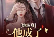 (全文)她转身，他成了不放的疯批热门小说排行榜，她转身，他成了不放的疯批陆芷霍征铭全章小说阅读-逐鹿文学