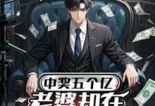 中奖五个亿，老婆却在领奖前提离婚完整版小说，中奖五个亿，老婆却在领奖前提离婚陈志试读更新章节-逐鹿文学