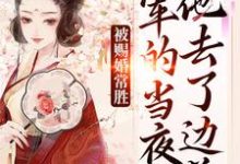 被赐婚常胜将军的当夜，他去了边关青妩燕昭完结小说推荐被赐婚常胜将军的当夜，他去了边关全本书籍阅读-逐鹿文学