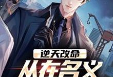 逆天改命，从在名义当秘书开始完整版小说，逆天改命，从在名义当秘书开始陈正泽祁同伟试读更新章节-逐鹿文学