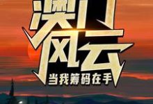 (全文)澳门风云：当我筹码在手(王东曼丽)全本免费在线阅读-逐鹿文学