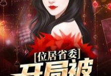 位居省委，开局被妻子举报苏玉黎锦免费小说位居省委，开局被妻子举报推荐完结小说-逐鹿文学