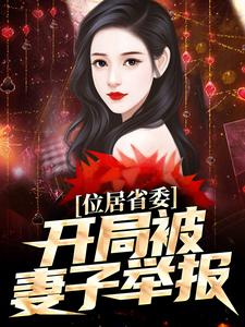 位居省委，开局被妻子举报苏玉黎锦免费小说位居省委，开局被妻子举报推荐完结小说