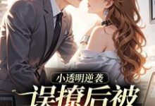(全文)小透明逆袭:误撩后被大佬宠上天许惟昭方肃礼全本免费在线阅读-逐鹿文学