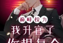 巅峰权力：我升官了你想复合（林磊）全本书籍阅读巅峰权力：我升官了你想复合完整版小说-逐鹿文学