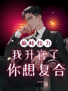 巅峰权力：我升官了你想复合（林磊）全本书籍阅读巅峰权力：我升官了你想复合完整版小说