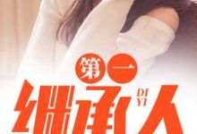第一继承人徐飞完结小说推荐，第一继承人全章小说阅读-逐鹿文学