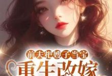 (全文)前夫把嫂子当宝，重生改嫁不原谅免费小说全本，夏晚晴试读更新章节-逐鹿文学