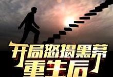 开局怒揭黑幕，重生后整顿官场推荐完结小说开局怒揭黑幕，重生后整顿官场(陈知行)免费小说全本-逐鹿文学